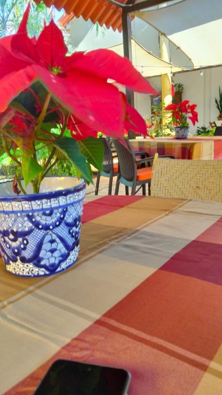 Quinta Rosita Acomodação com café da manhã Ticul Exterior foto