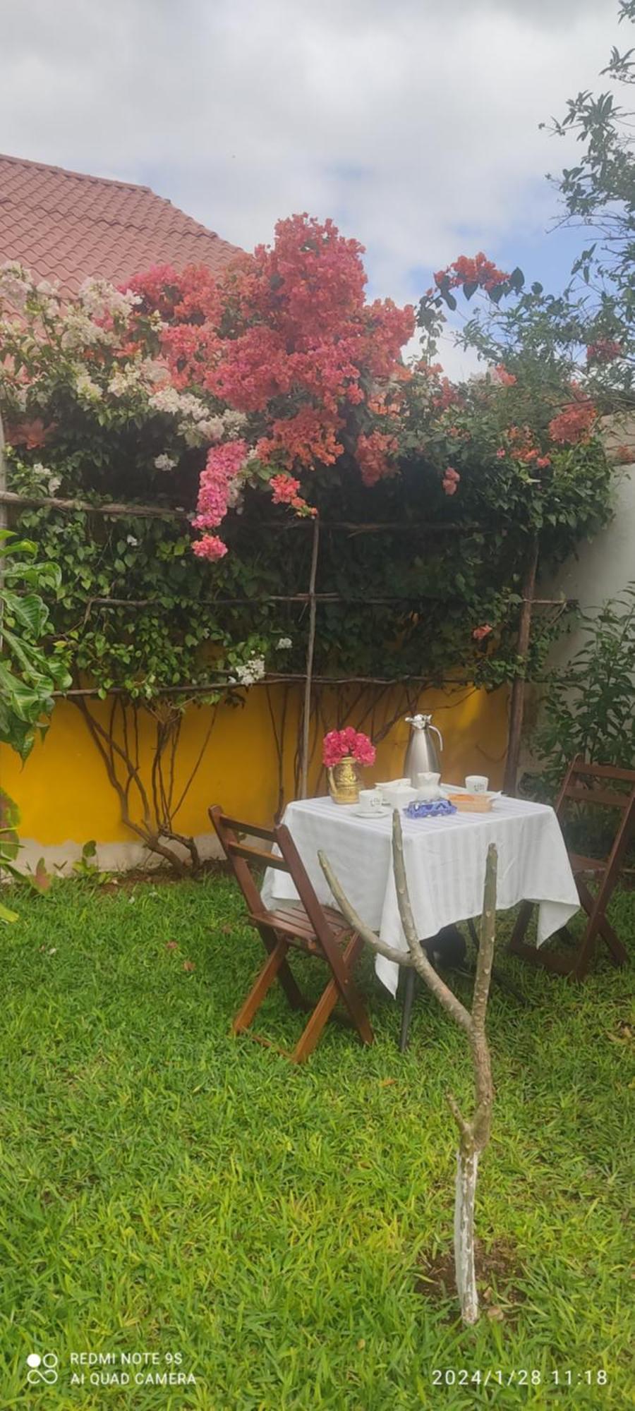 Quinta Rosita Acomodação com café da manhã Ticul Exterior foto