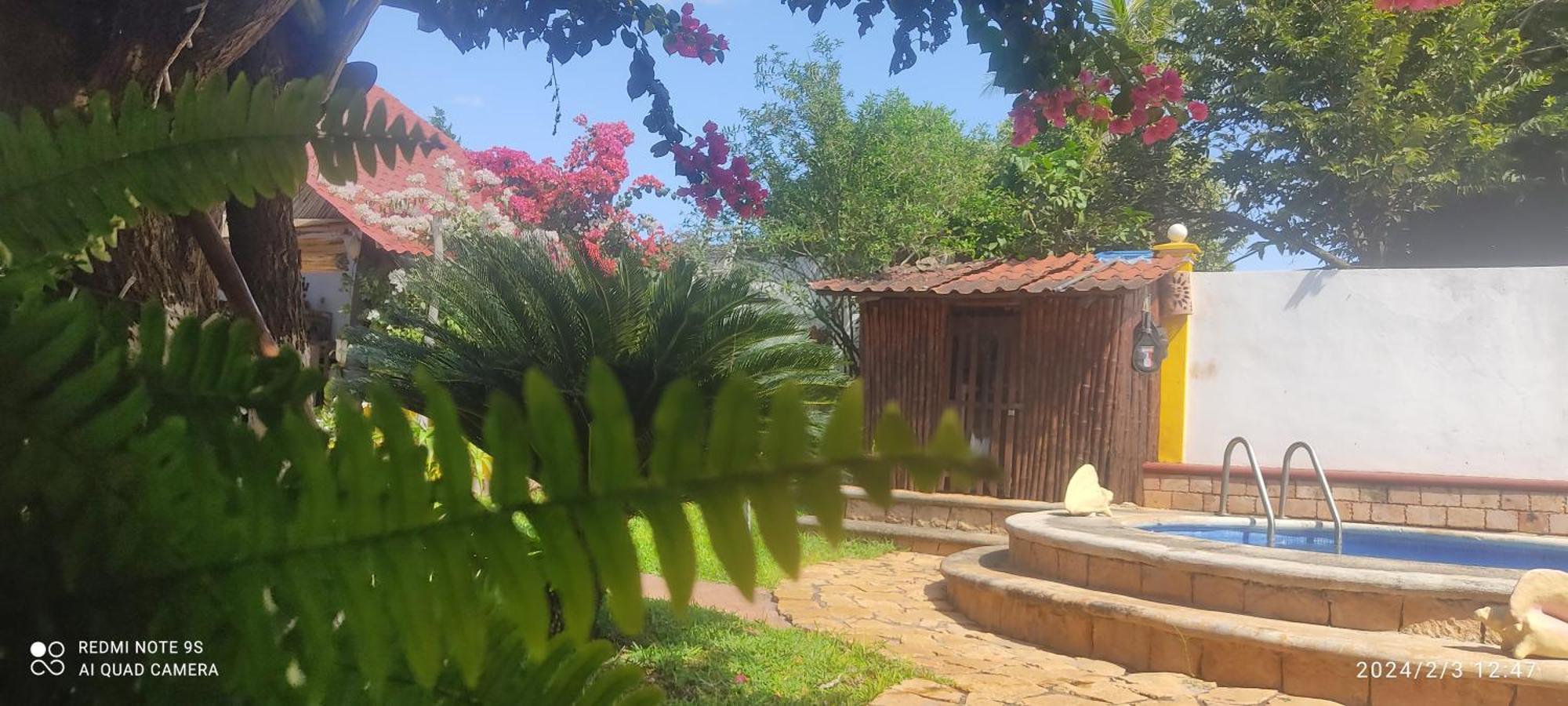 Quinta Rosita Acomodação com café da manhã Ticul Exterior foto