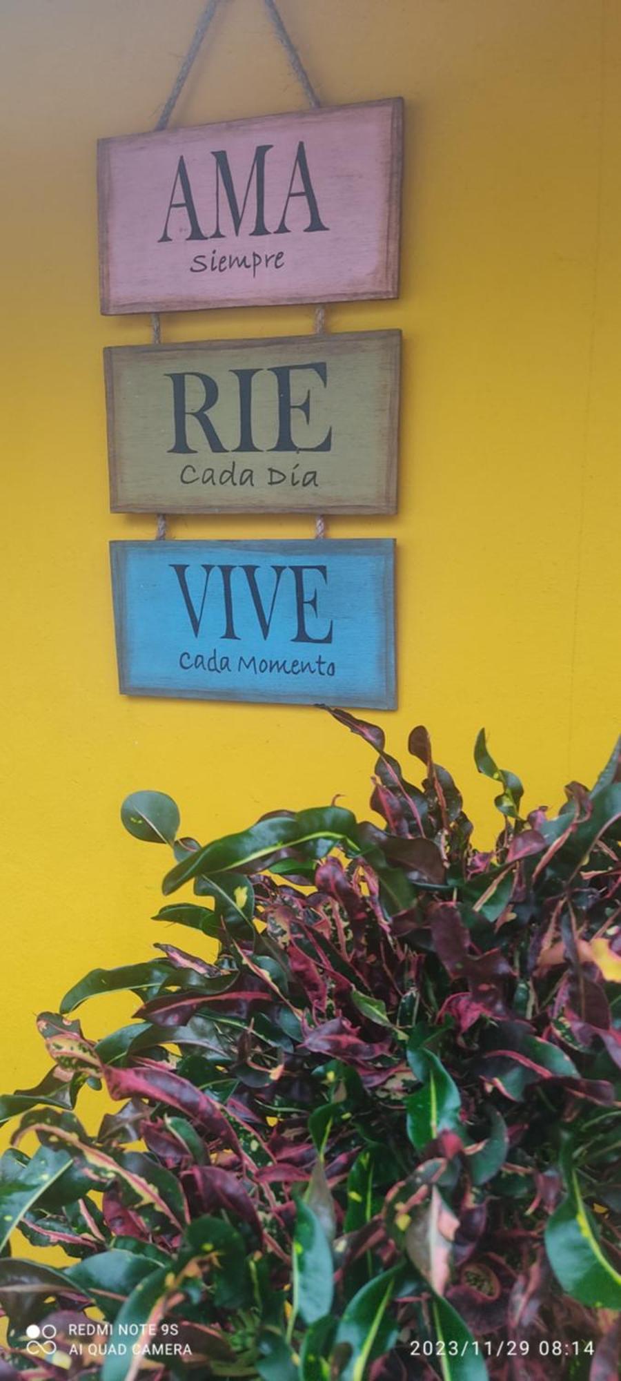 Quinta Rosita Acomodação com café da manhã Ticul Exterior foto
