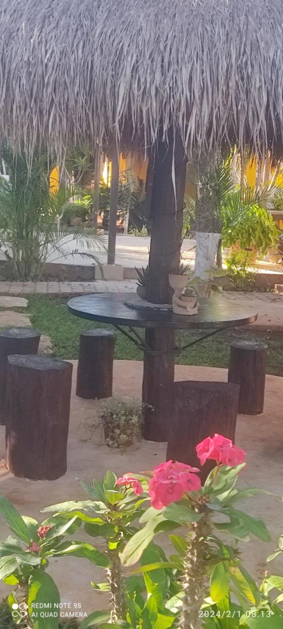 Quinta Rosita Acomodação com café da manhã Ticul Exterior foto