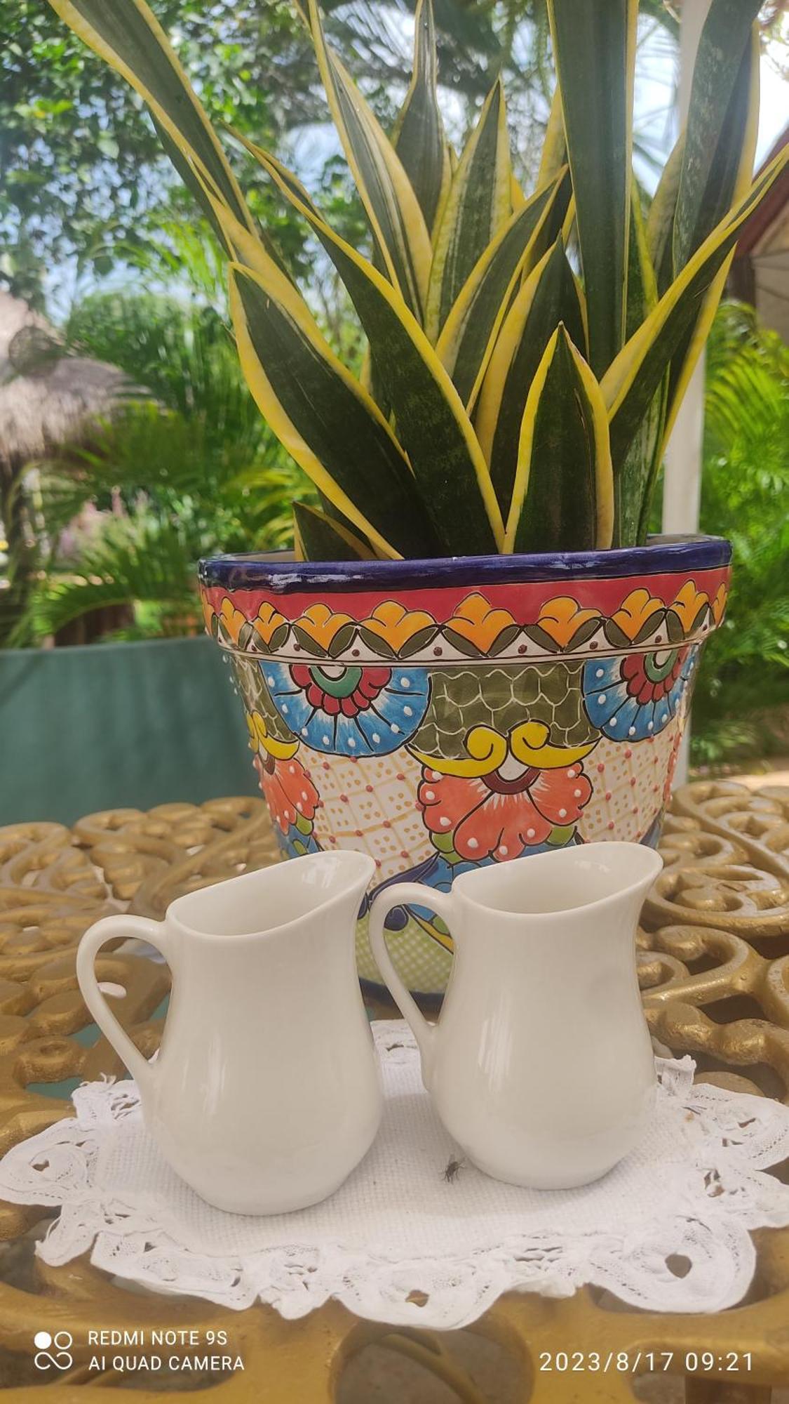 Quinta Rosita Acomodação com café da manhã Ticul Exterior foto