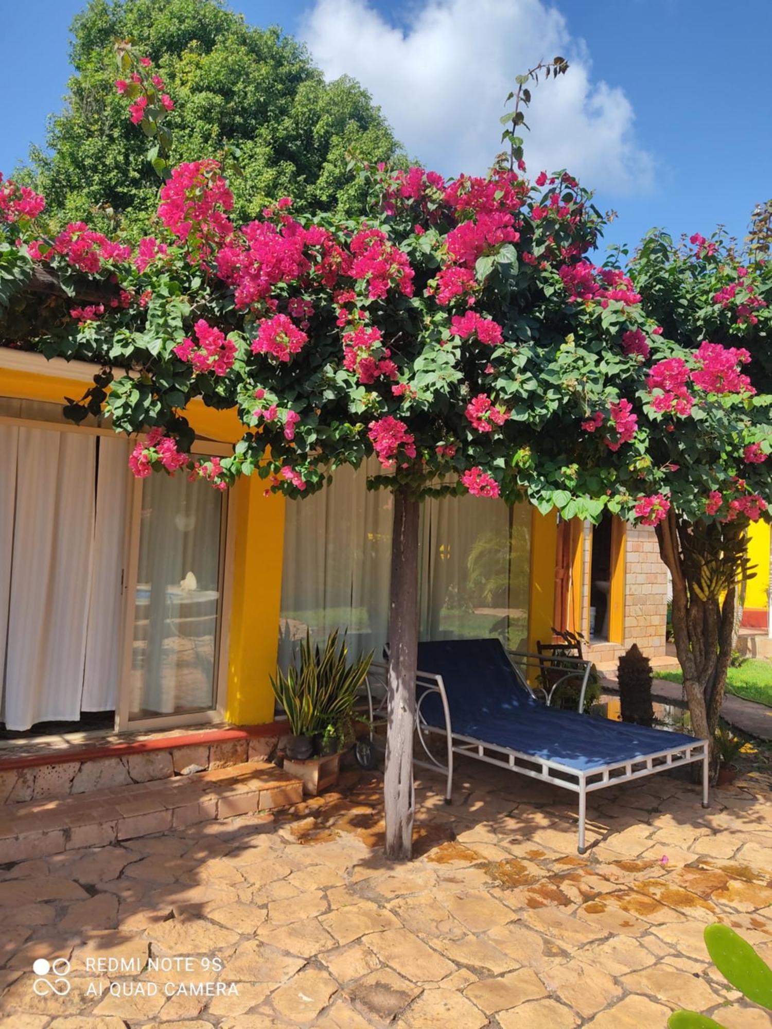 Quinta Rosita Acomodação com café da manhã Ticul Exterior foto