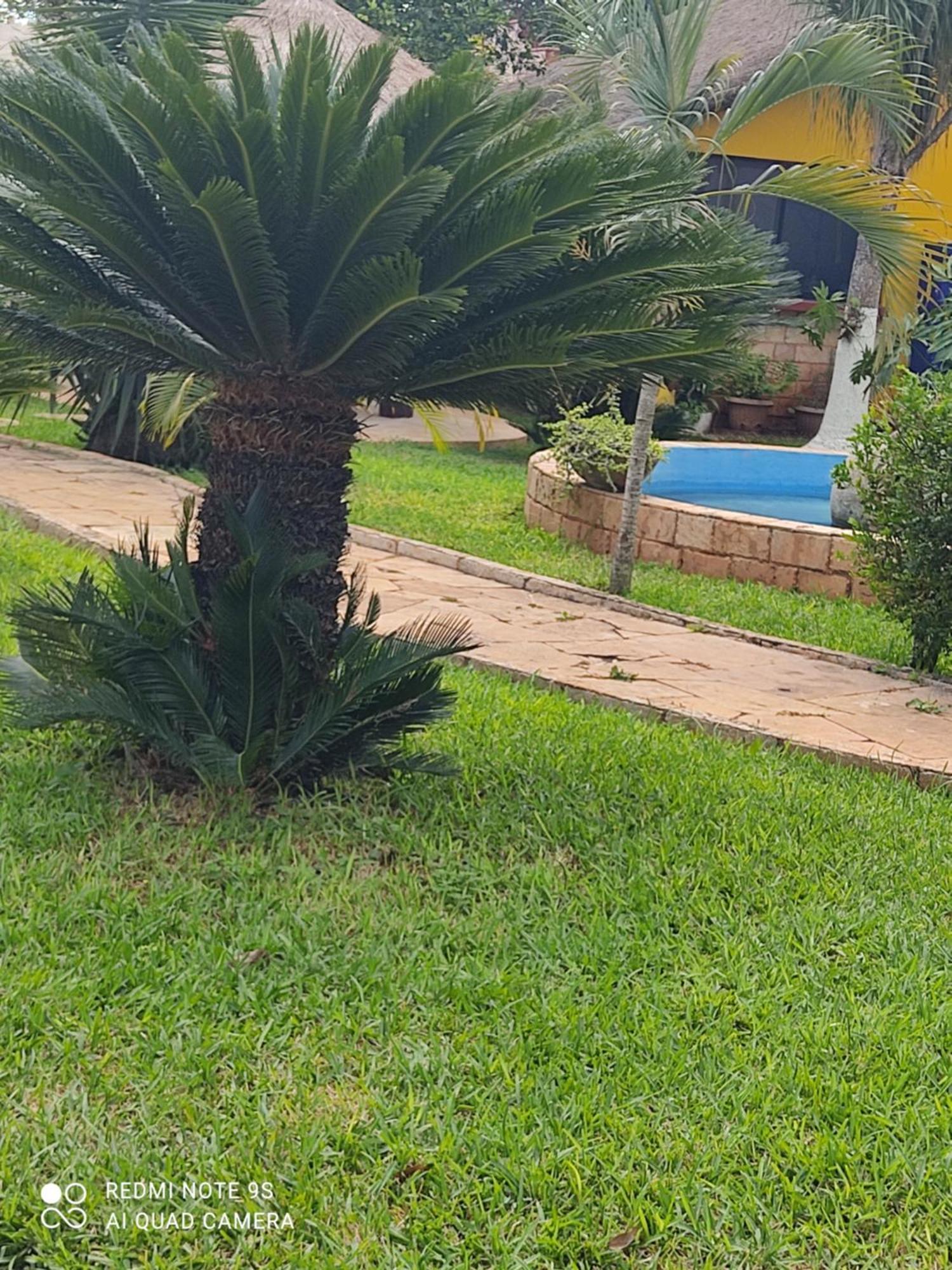 Quinta Rosita Acomodação com café da manhã Ticul Exterior foto