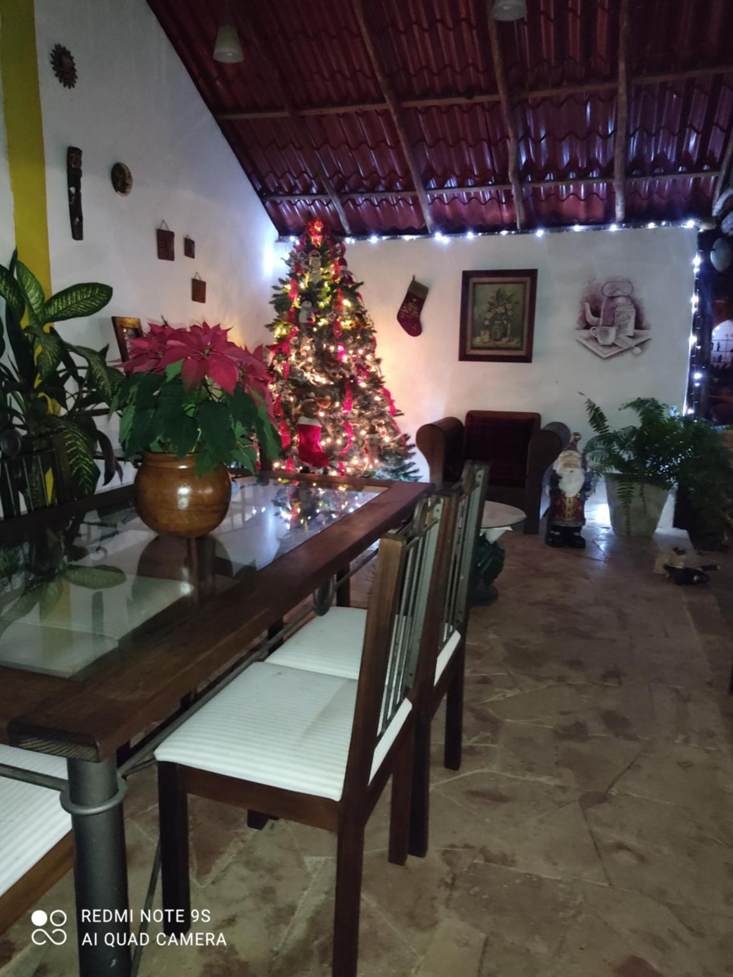 Quinta Rosita Acomodação com café da manhã Ticul Exterior foto