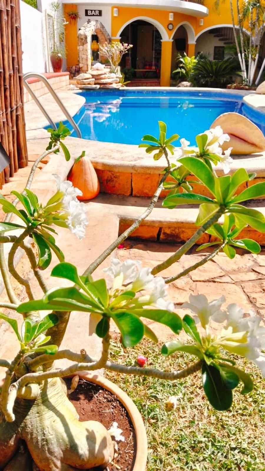 Quinta Rosita Acomodação com café da manhã Ticul Exterior foto