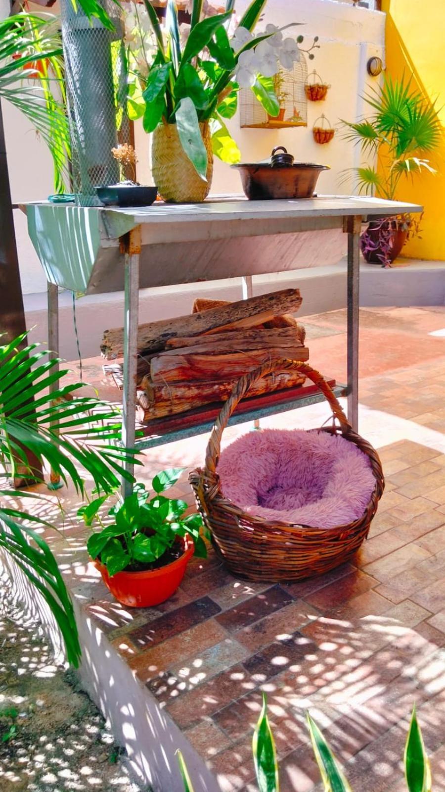 Quinta Rosita Acomodação com café da manhã Ticul Exterior foto