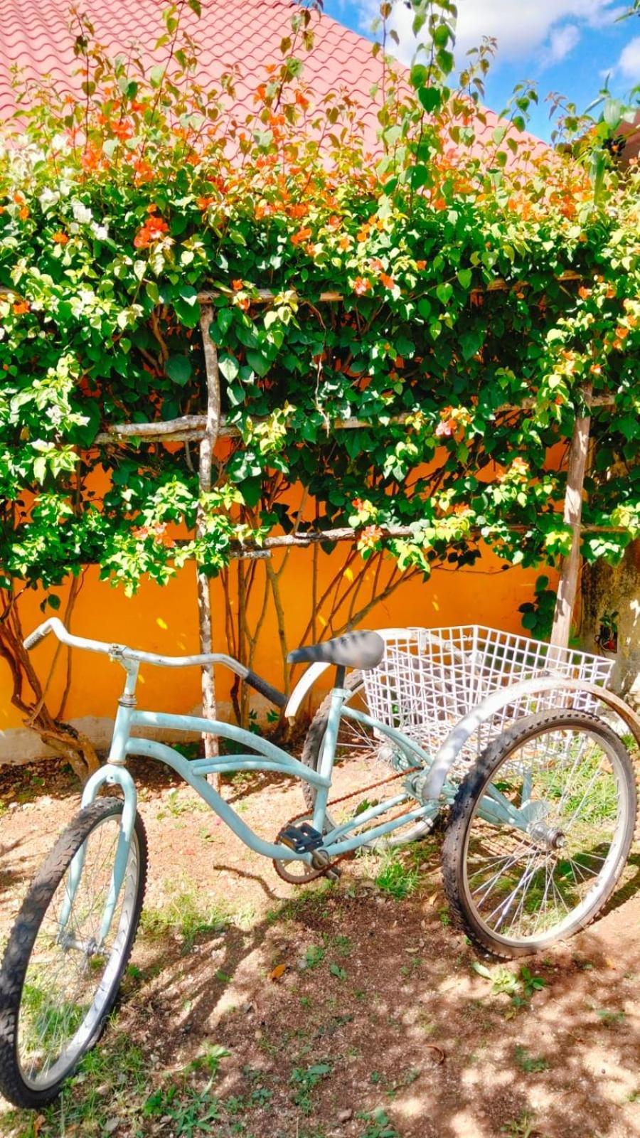 Quinta Rosita Acomodação com café da manhã Ticul Exterior foto